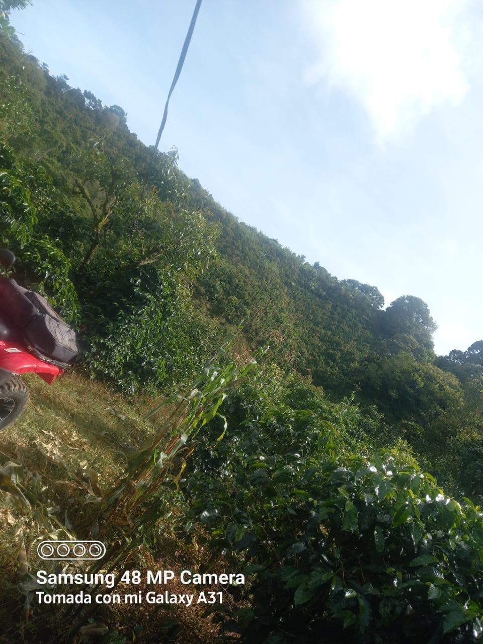 FINCA EN VENTA EN Santa Cruz de León Cortés